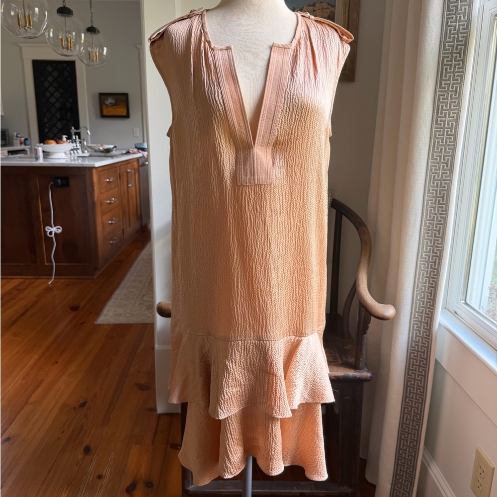 Club Monaco Champagne Dress